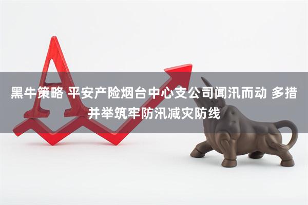 黑牛策略 平安产险烟台中心支公司闻汛而动 多措并举筑牢防汛减灾防线