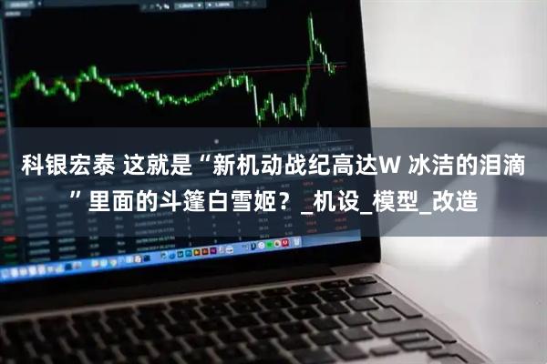 科银宏泰 这就是“新机动战纪高达W 冰洁的泪滴”里面的斗篷白雪姬？_机设_模型_改造